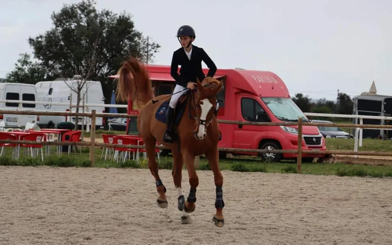 Evolução na Equitação: Das Primeiras Aulas ao Nível Máximo