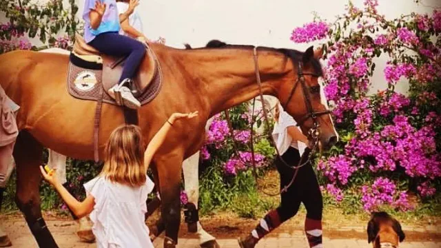 Horse Riding Day Trip from Lisbon — The Cascais Option